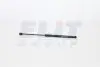 GS0417 Газовый амортизатор (GAS SPRING) PEUGEOT 307 SW 03/02- TAILGATE - ESTATE MAGNETI MARELLI підбір по vin на Brocar