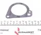 PA440 Помпа води Ford Fiesta III/Escort V/VI/VII 1.3 90- (B/B) (8 лоп.) GRAF підбір по vin на Brocar