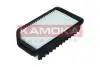F246901 FILTR POWIETRZA KAMOKA підбір по vin на Brocar
