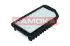 F246901 FILTR POWIETRZA KAMOKA підбір по vin на Brocar