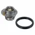 Termostat FORD 50 10 5992