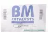 BM91302H Катализатор BM CATALYSTS підбір по vin на Brocar
