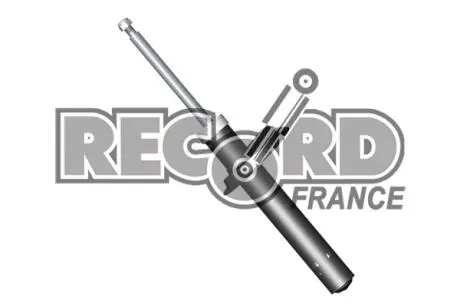 103919 Амортизатор RECORD подбор по vin на Brocar
