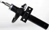 Ам-тор перед. газ. VW Sharan 96-10 /Ford Galaxy 95-06 /Seat Alhambra 96-10 DSB124G