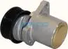 APV2311 Ролик натяжний FORD/VOLVO Mondeo/Transit/S80 &quot;1,8/2,3L &quot;00&gt;&gt; DAYCO підбір по vin на Brocar