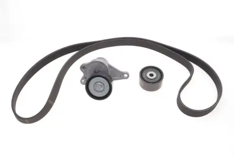 VKMA36132 Роликовый модуль натяжителя ремня (ролик, ремень) SKF подбор по vin на Brocar