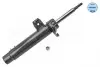 Амортизатор (передний) BMW X1 (E84) 09-15 (R) 326 623 0074