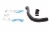 Патрубок інтеркулера Renault Laguna III 1.5dCi 07-15 (к-кт 2 шт) 224780
