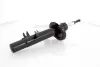 GH351902H Амортизатор передний C2/C3 02-/1007 05- Пр. (газ) GH-PARTS підбір по vin на Brocar