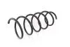 GH203913 Пружина передня Renault Clio II/Thalia 98- GH-PARTS підбір по vin на Brocar