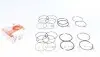 PRDAE493548050SET Кільця поршневі Daewoo Lanos/Nexia 1.5 8V 90- (+0,50/77.00mm) (1.5x1.5x3.0) (к-кт 4 циліндра) PARADOWSCY AMP підбір по vin на Brocar