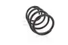 GH203917 Пружина передня Scenic/Grand Scenic 03- GH-PARTS підбір по vin на Brocar