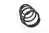 GH203921 Пружина передняя Renault Laguna III 07- GH-PARTS підбір по vin на Brocar
