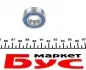 60032RSC3 Подшипник (17x35x10) PFI підбір по vin на Brocar