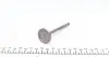 PDAE012A0N Клапан (выпуск) Daewoo Lanos 1.4i/1.5i 97- (31x7x103.7) (азотированные) PARADOWSCY AMP підбір по vin на Brocar