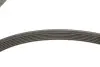 VKMA64119 Комплект (ремінь+ролики) SKF підбір по vin на Brocar