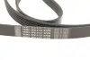 VKMA64119 Комплект (ремінь+ролики) SKF підбір по vin на Brocar