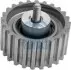 Ролик натягувач ременя ГРМ Fiat Ducato 2.3JTD 02- 55882