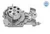 16132200021 Помпа воды Dacia Logan/Sandero 1.0/1.2 06-/Renault Kangoo/Clio/Logan/Twingo 1.2/1.2 16V 01- MEYLE підбір по vin на Brocar