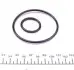 WY907 Фильтр масляный Toyota Yaris 1.3 08- WUNDER FILTER підбір по vin на Brocar