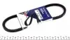 Ремень генератора Citroen Jumpy/Jumper/Berlingo/VW T4 1.9D/TD (10x650) AV10LA650