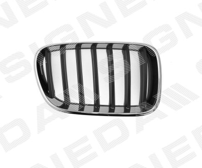 PBM07068GAR РЕШІТКА РАДІАТОРА BMW X3 (F25), 11.10 - 04.14 SIGNEDA підбір по vin на Brocar