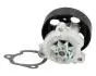 PQ176 Помпа води Primera,X-Trail 2.0 01-,Renault Koleos 44318 -8 JAPANPARTS підбір по vin на Brocar