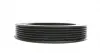 544005810 Шкив коленвала Citroen Berlingo/Fiat Scudo/Peugeot Expert/Partner 1.9D/2.0HDi (6PK) INA підбір по vin на Brocar
