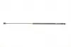 Амортизатор капоту VW Golf VI 08-13 430719067300