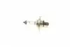 482203000 Автолампа HS1 12V 35/35W PX43t (Moto) NARVA підбір по vin на Brocar