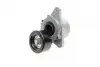 534043510 Натяжник ременя генератора Nissan Navara/Pathfinder 2.5 dCi 05- INA підбір по vin на Brocar