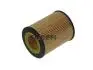 CH8081ECO FILTR OLEJU BMW E36 90 E46 98-&gt; =MAN HU 925/3 X SZT FRAM FRAM підбір по vin на Brocar