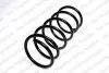Пружина (задняя) Hyundai Terracan 2.9CRDi/3.5i V6 4WD 01-06 (SUV) 4237223