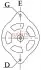 113943 Генератор Fiat Brava/Doblo/Punto/Lancia Lybra 1.9D/JTD 98- (12V/100A) CARGO підбір по vin на Brocar