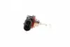 480773000 Автолампа H9 12V 65W PGJ19-5 Standard NARVA підбір по vin на Brocar