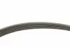 529034110 Комплект ременя генератора VW Golf V/VI/Passat 1.4TSI 06-16 (6PK 1700) INA підбір по vin на Brocar