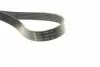 529034110 Комплект ременя генератора VW Golf V/VI/Passat 1.4TSI 06-16 (6PK 1700) INA підбір по vin на Brocar