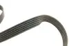 529008410 Комплект ремня генератора VW Caddy II 1.4/1.6 95-04 (6PK1070) INA підбір по vin на Brocar