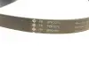 529008410 Комплект ремня генератора VW Caddy II 1.4/1.6 95-04 (6PK1070) INA підбір по vin на Brocar