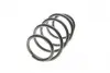 4062103 Пружина (передняя) Nissan Qashqai II1.6 dCi/2.0 13-/Renault Kadjar 1.6dCi 15- (SUV) LESJOFORS підбір по vin на Brocar