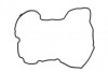 Прокладка кришки клапанів Nissan Pathfinder 2.5dCi 05- 903.030