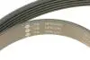 529011522 Комплект ремня генератора MB Sprinter/Vito 2.2-2.7 CDI 00-06 (6PK2260) INA підбір по vin на Brocar