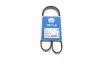 Ремінь генератора Fiat/Lancia/Nissan/Subaru (4PK1100) 0500041100
