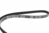 0500041100 Ремень генератора Fiat/Lancia/Nissan/Subaru (4PK1100) MEYLE підбір по vin на Brocar