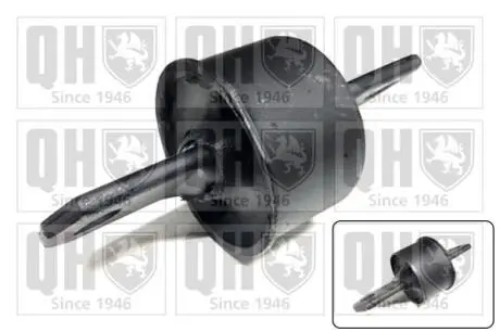 EMS8031 Сайлентблок QUINTON HAZELL підбір по vin на Brocar