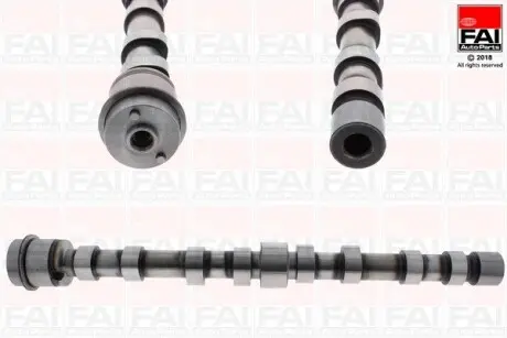 C390 Розподільчий вал CITROEN JUMPER FIAT DUCATO IVECO DAILY III, DAILY V, DAILY VI PEUGEOT BOXER 3.0D 01.04- FAI AUTOPARTS підбір по vin на Brocar