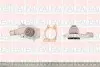 WP2527 Водяна помпа Chery Amulet/Ford Escort III/IV/V/VI/VII/Fiesta II/III 1.4-1.6 CVH 1986- FAI AUTOPARTS підбір по vin на Brocar