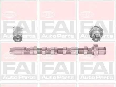 C244 Розпредвал WV Passat4 / 97-05 Audi A4, A6 / 99-03 (цил 1-3, d FAI AUTOPARTS підбір по vin на Brocar