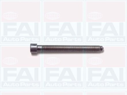 B1006 К-кт болтов Г/Б (10шт) 1.8 VW Passat B5 /Audi A4, A6 FAI AUTOPARTS подбор по vin на Brocar