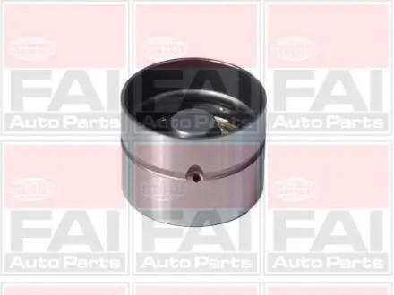 BFS66 Гідрокомпенсатор (к-кт 8шт) WV/Audi Benzin/Diesel FAI AUTOPARTS підбір по vin на Brocar